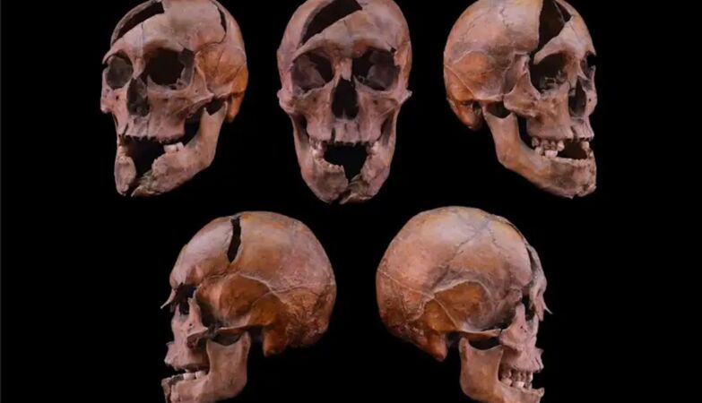 The skeleton of a duke brutally murdered in 1272 discovered