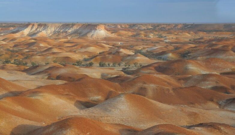 The largest cattle farm in the world is 240 times the size of Lisbon