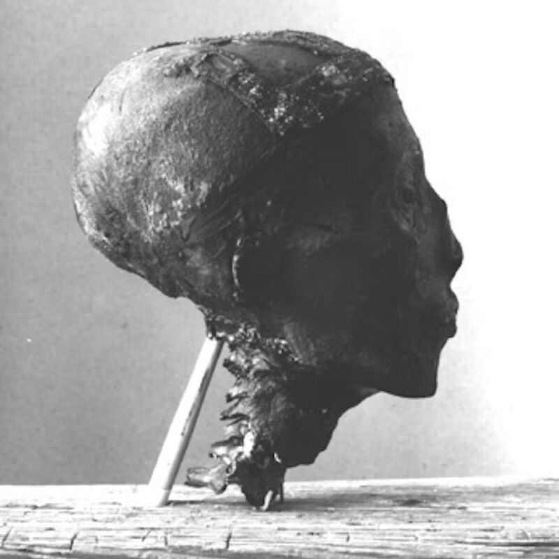 Tutankhamun was beheaded 100 years ago. The excavation of shame