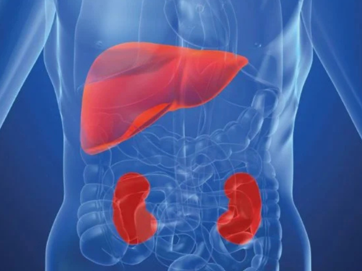 hiperoxaluria-primaria-tipo-1-(hp1):-o-que-e-a-doenca-ultrarrara-que-afeta-rins-e-figado