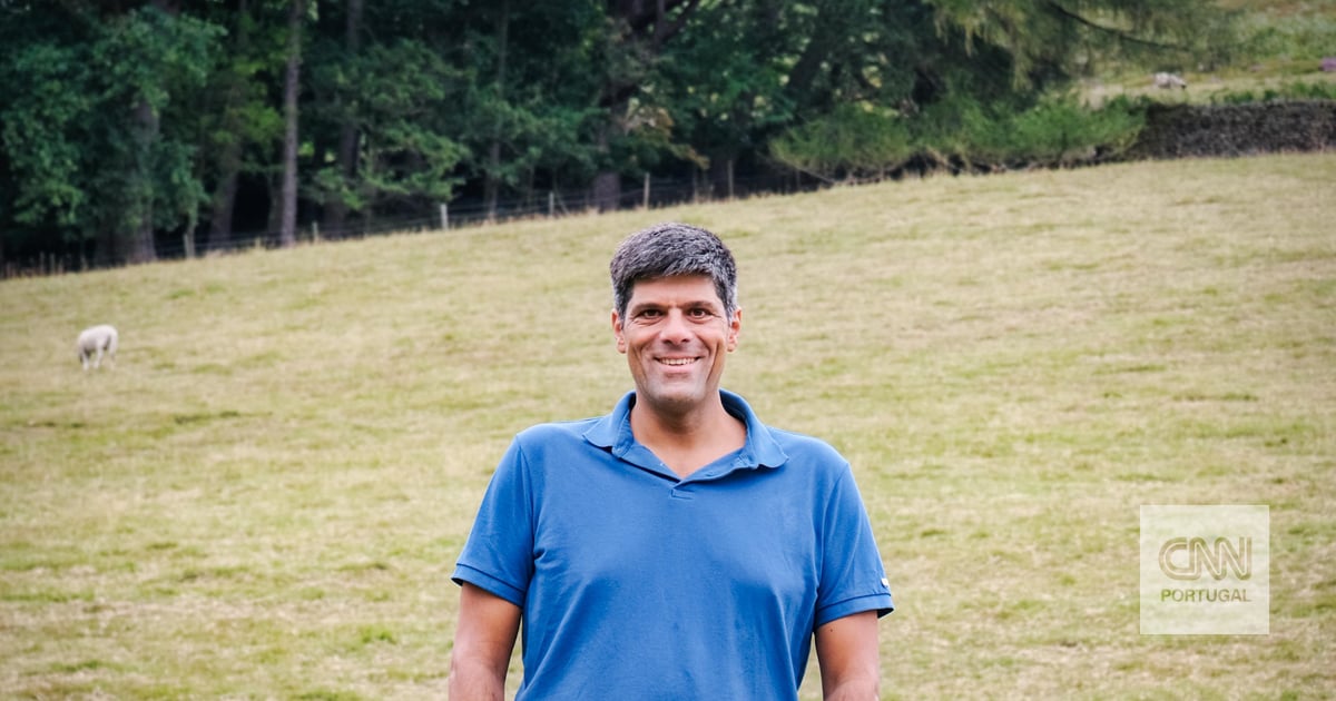 Cruises, penguins and absolute silence: the adventure of a Portuguese man who goes to work at the most remote post office on the planet