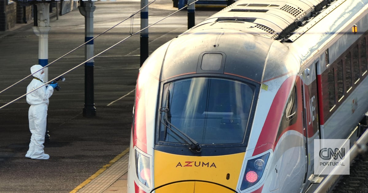 A suspect remains in custody for stabbing on a train. What is known about the attack in the United Kingdom?