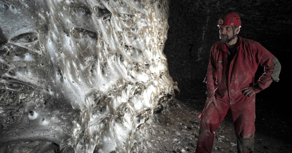 World's largest spider web discovered
