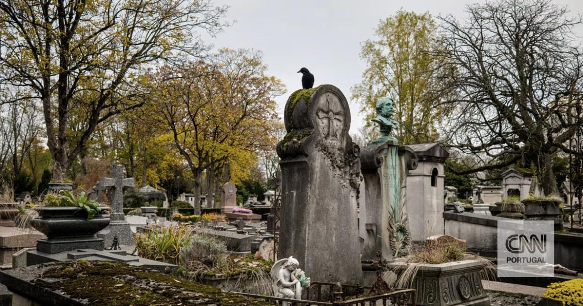 Paris residents can enter lottery to share cemetery space with Jim Morrison and Oscar Wilde
