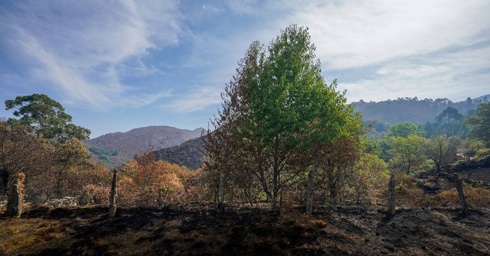 Government invests 52 million in fire prevention and wants to double the area of ​​controlled fires