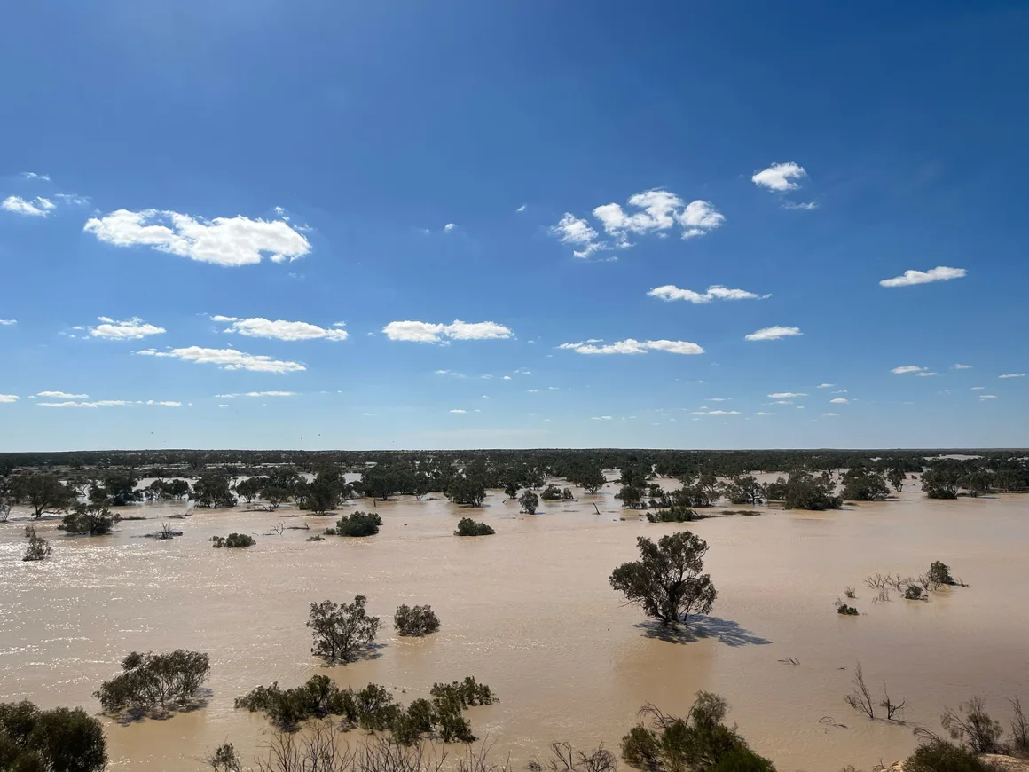 Rare phenomenon brings life back to one of the driest areas in the world and attracts both animals and tourists