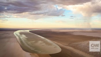 Rare phenomenon brings life back to one of the driest areas in the world and attracts both animals and tourists