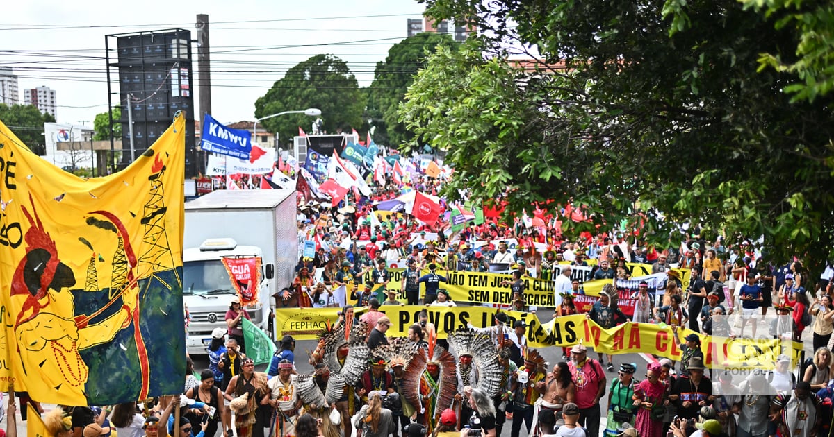 COP30: Associação Zero de Portugal among activists to demand climate responses