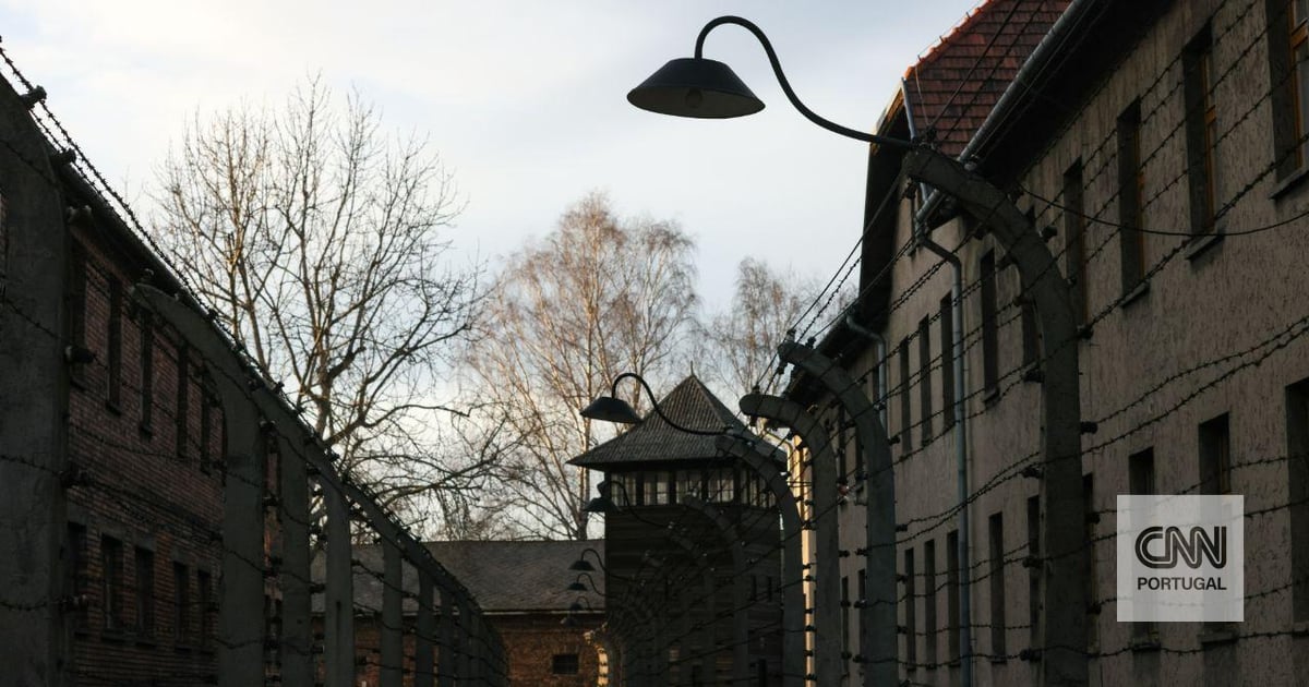 Survivors demand cancellation of auction of Holocaust objects in Germany