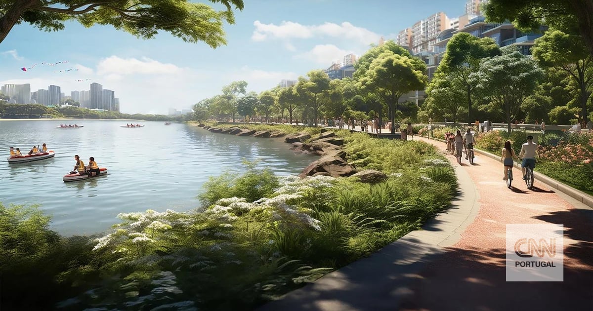 An eccentric country's response to rising sea levels? Create a giant island