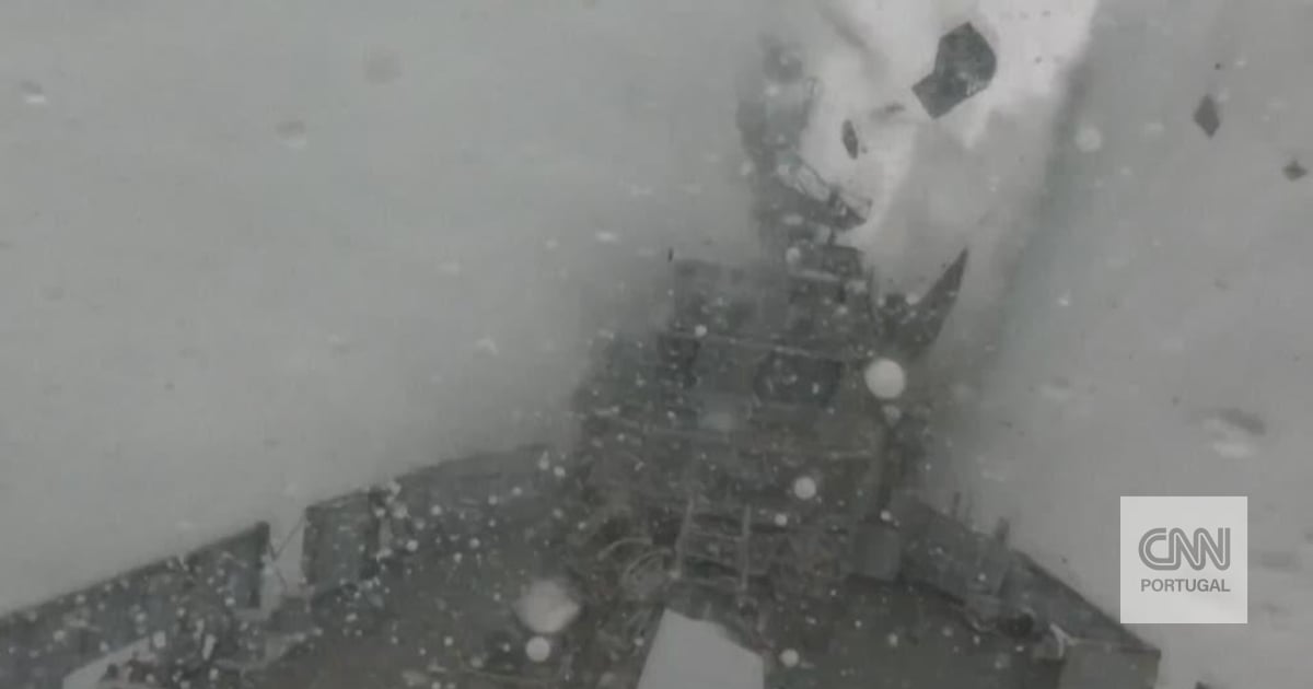 A submarine and a torpedo: NATO shows its power in training images