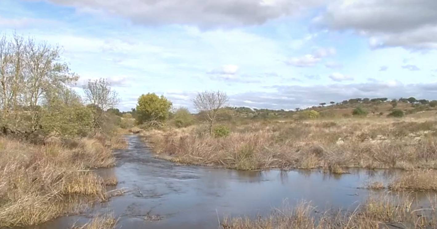 After a dry start to autumn, the return of rain brings hope to Alentejo farmers