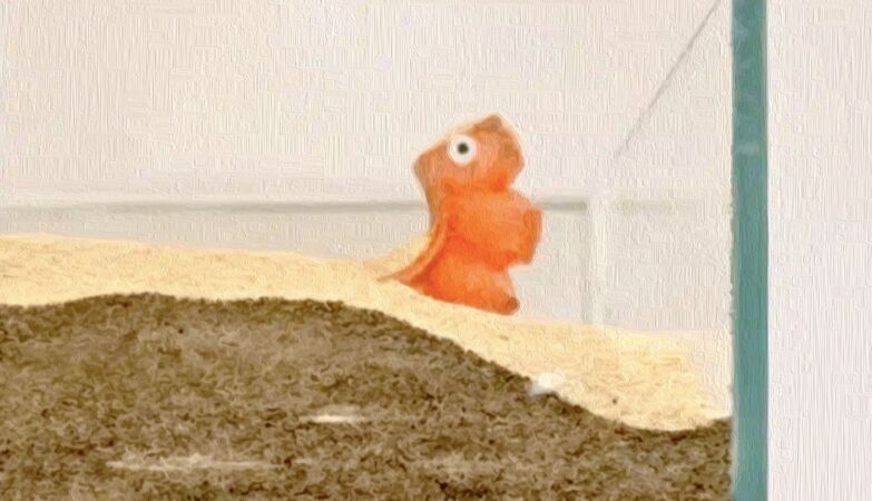 This useful robot is cute and… edible. Including the battery