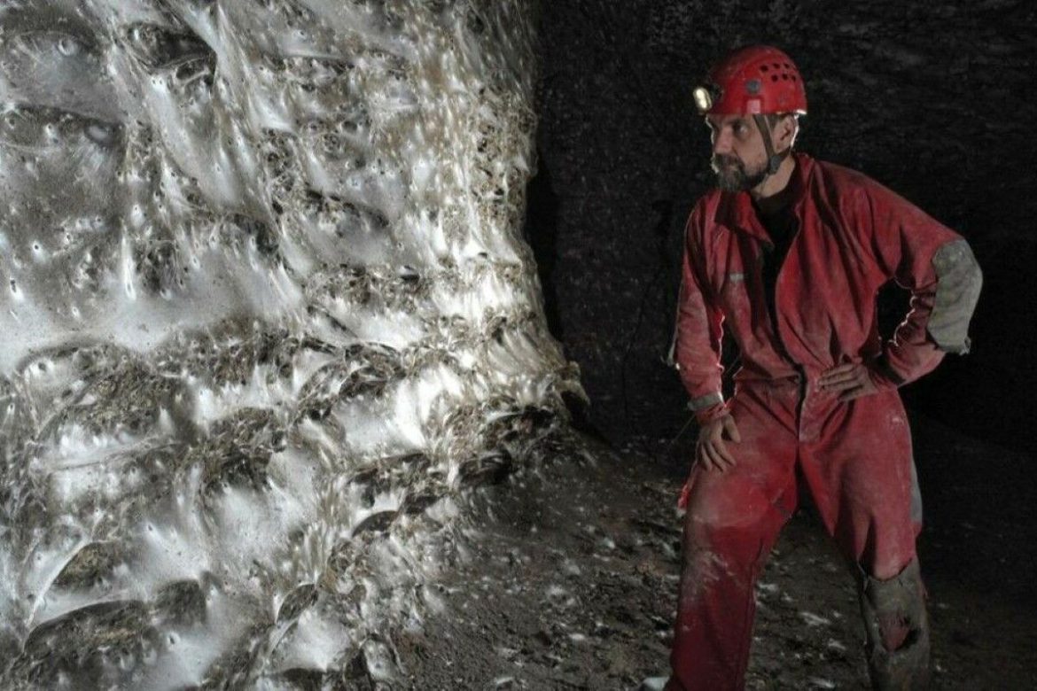 The largest spider web in the world is discovered in the “Sulphur Cave”. I could catch a whale
