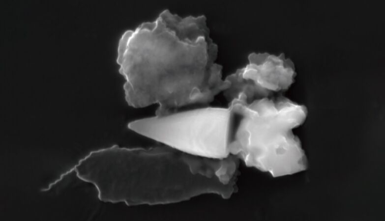 Mysterious magnetic fossils served as GPS for ancient animals