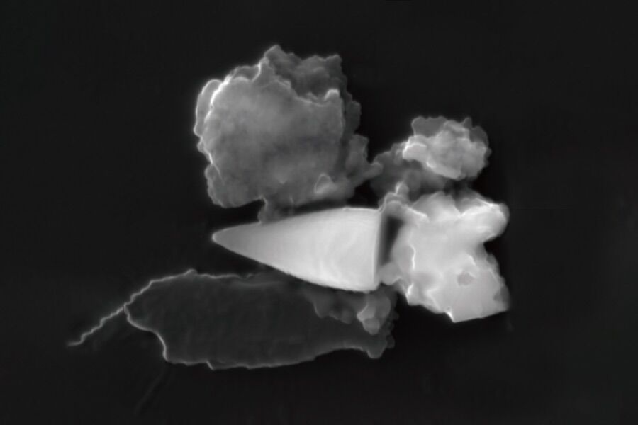 Mysterious magnetic fossils served as GPS for ancient animals