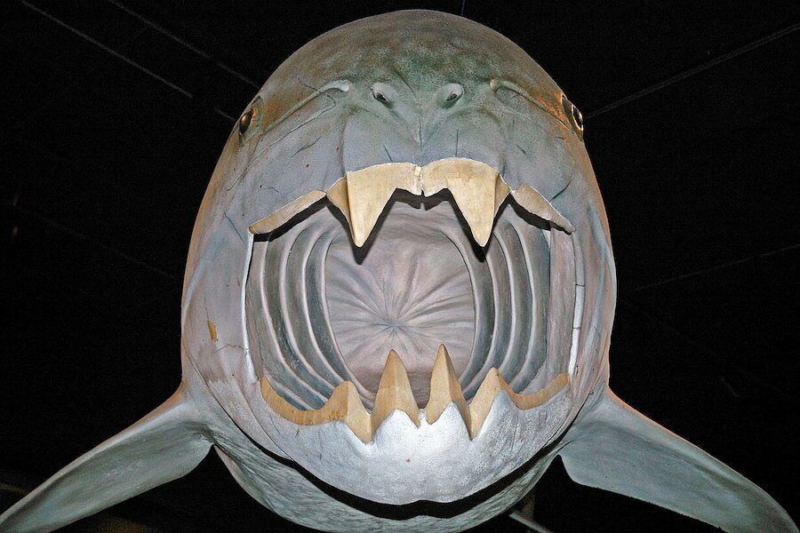 Scientists Discover New Clues About Cleveland Sea Monster