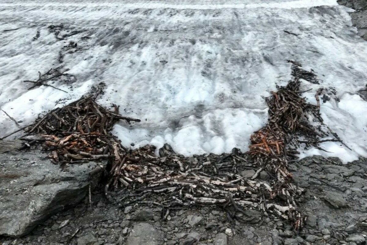 1500-year-old reindeer trap discovered in Norway. It was hidden beneath the ice