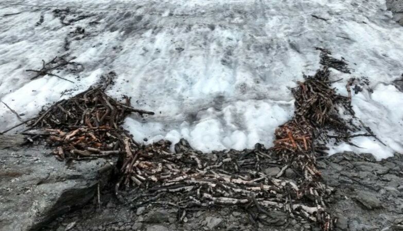 1500-year-old reindeer trap discovered in Norway. It was hidden beneath the ice