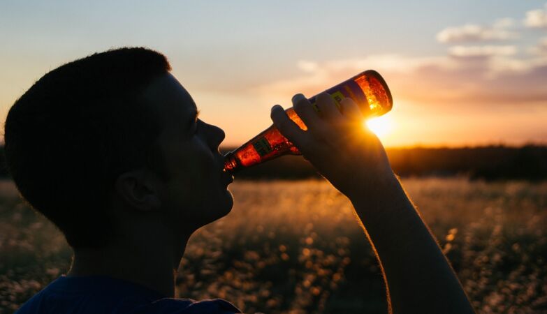 Did humans create agriculture so they could drink more beer?