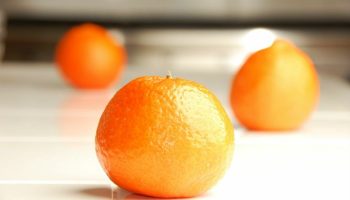 Portugal and orange: a marriage that is talked about around the world