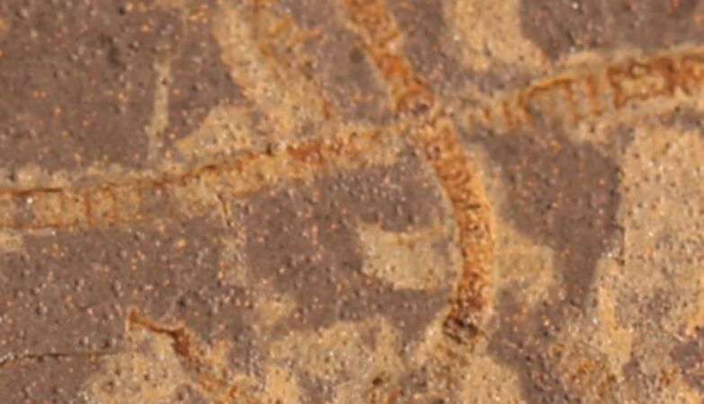 Life on Earth emerged a billion years earlier than we thought, new AI technique reveals