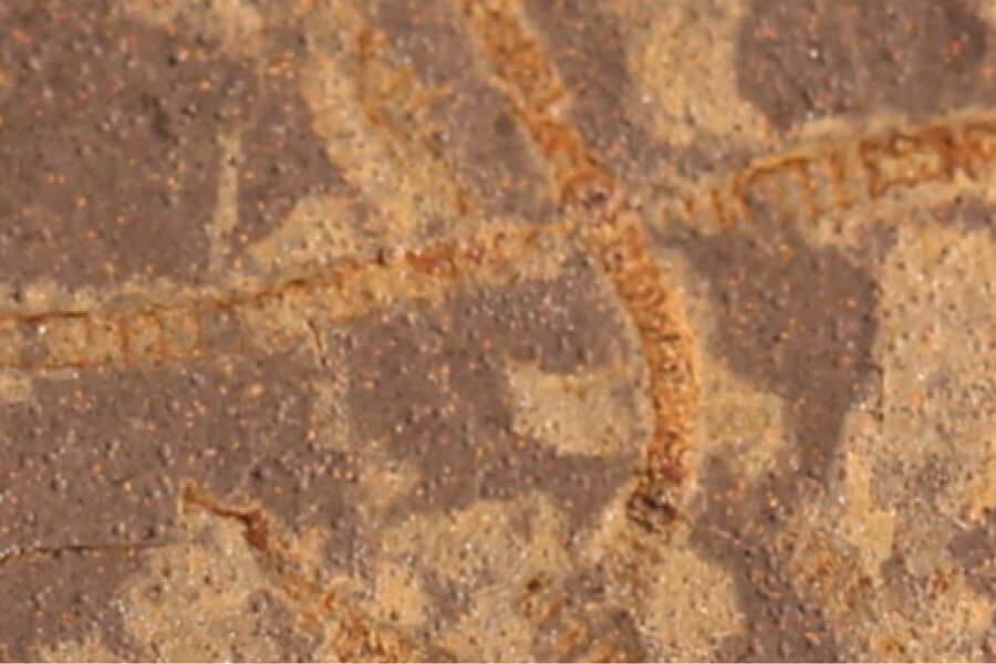 Life on Earth emerged a billion years earlier than we thought, new AI technique reveals