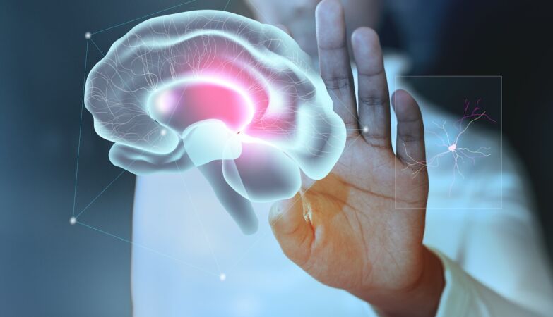 “Pain switch” discovered in the brain that could revolutionize medicine