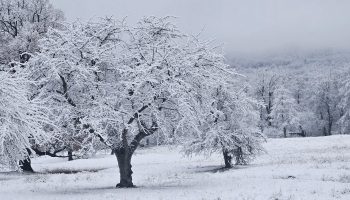 Horoscope November 22, 2025. Day of clarity, firm intentions and fabulous energy from a hike in nature