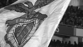 Leader of the Red Devils found shot dead near the Estádio da Luz. What is known