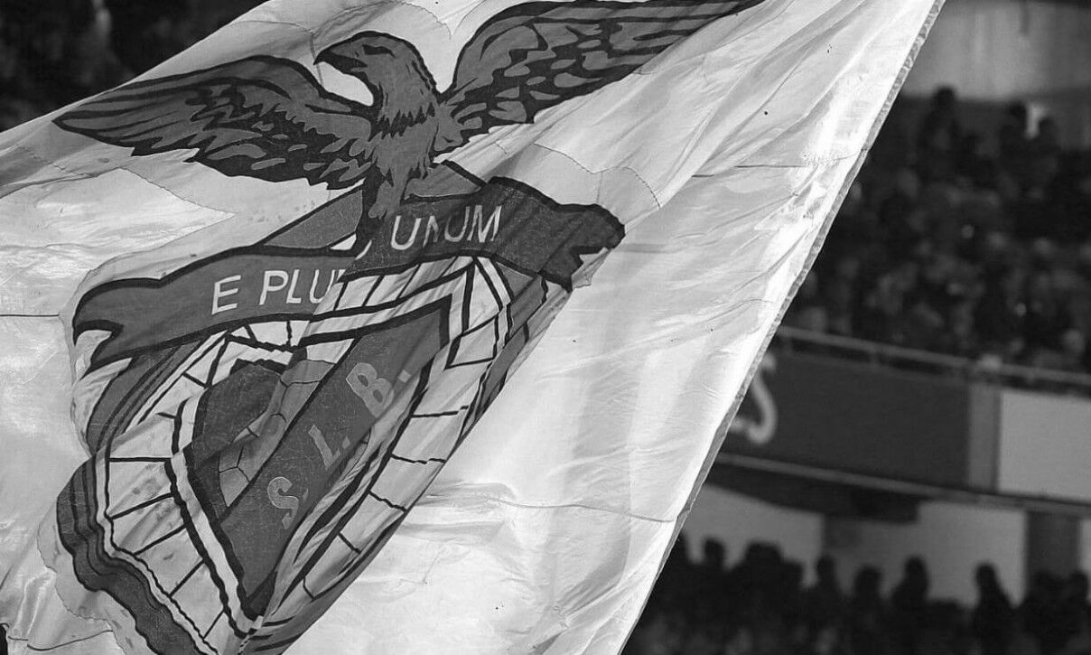 Leader of the Red Devils found shot dead near the Estádio da Luz. What is known