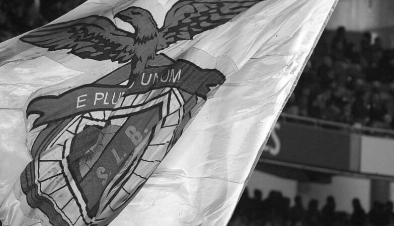 Leader of the Red Devils found shot dead near the Estádio da Luz. What is known