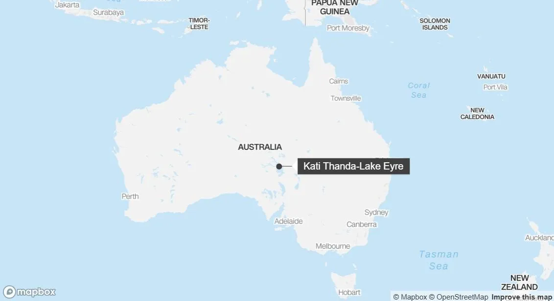 Rare phenomenon brings life back to one of the driest areas in the world and attracts both animals and tourists