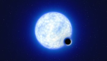 What if a small black hole devoured your body?
