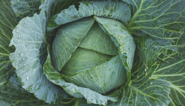 Don't like kale? There's a tastier (and healthier) way to eat it