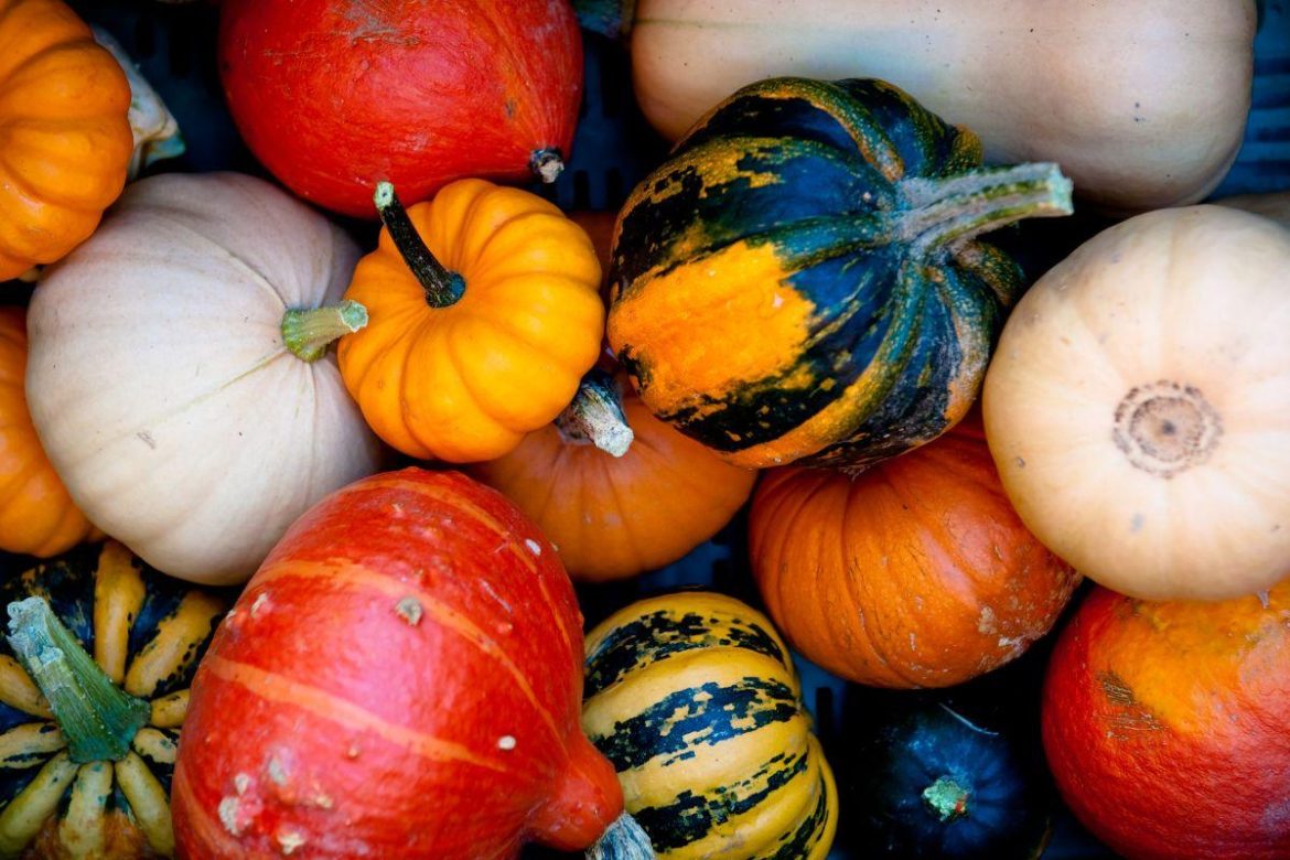 7 fall vegetables and fruits that are good for the heart
