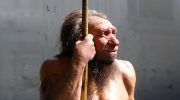 Neanderthals may never have gone completely extinct