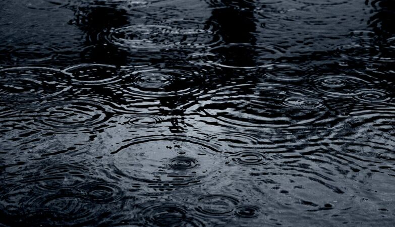 Three dogs died in one day: “children can die” in puddles in Lisbon