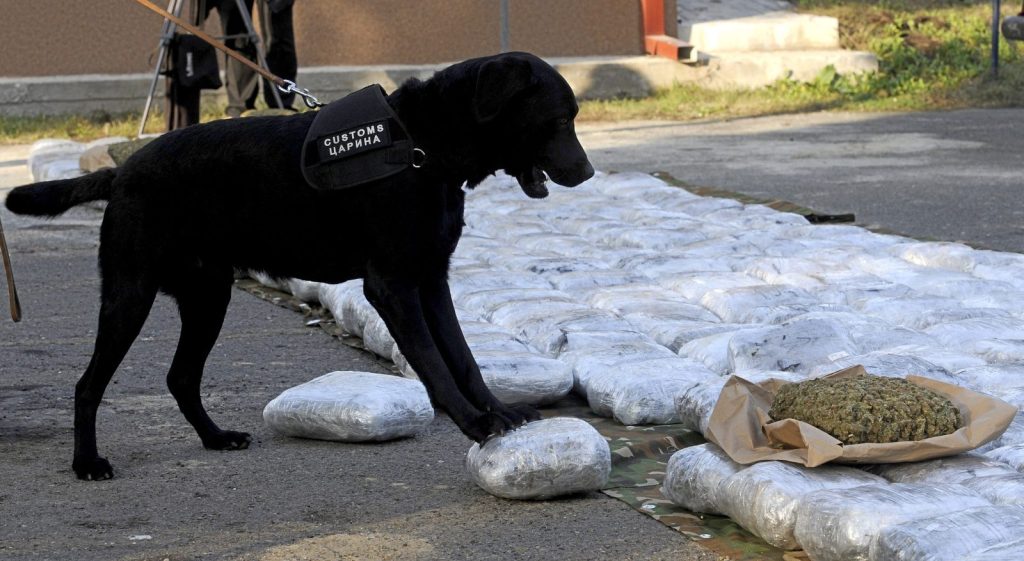 This is how Albania became the narco-state of Europe - Rama, the mafia and the silence of the EU