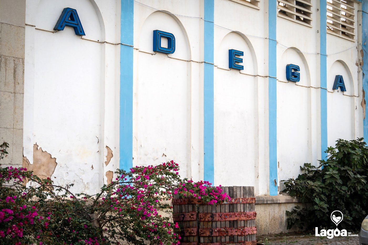 81 years of Adega Cooperativa do Algarve: tradition, memory and new projects for the future