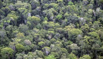 Acre will benefit from mega-investment of R$123 million to restore indigenous lands