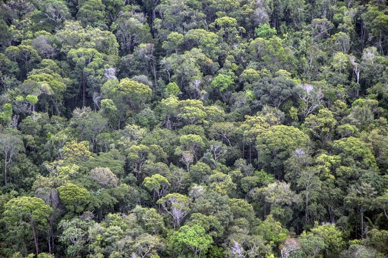 Acre will benefit from mega-investment of R$123 million to restore indigenous lands