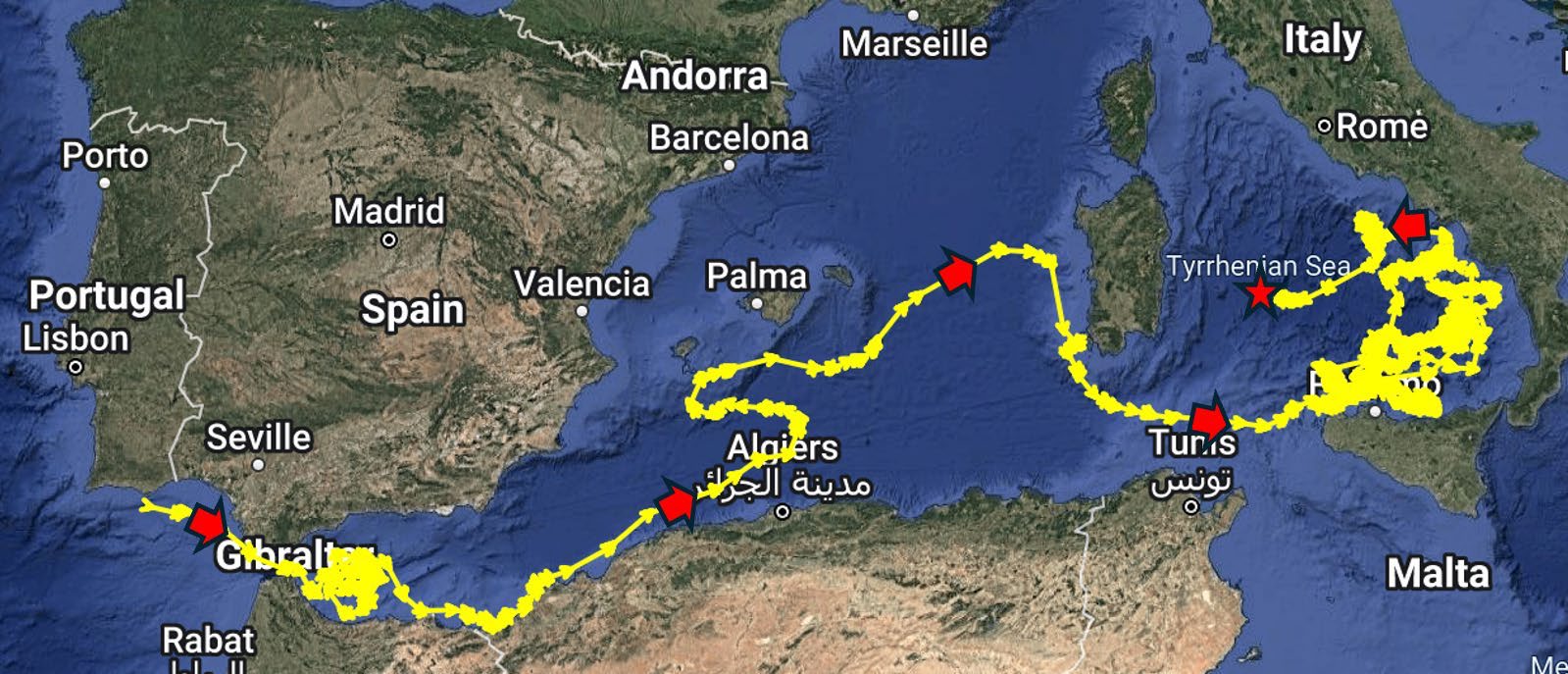 Salina, the turtle rehabilitated in the Algarve, travels more than 9,200 km and inspires pioneering study by Zoomarine