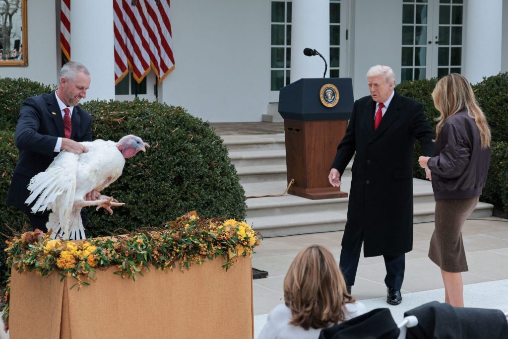 USA: The turkeys that survived the Thanksgiving dinner - Zelensky on the plate of the day?