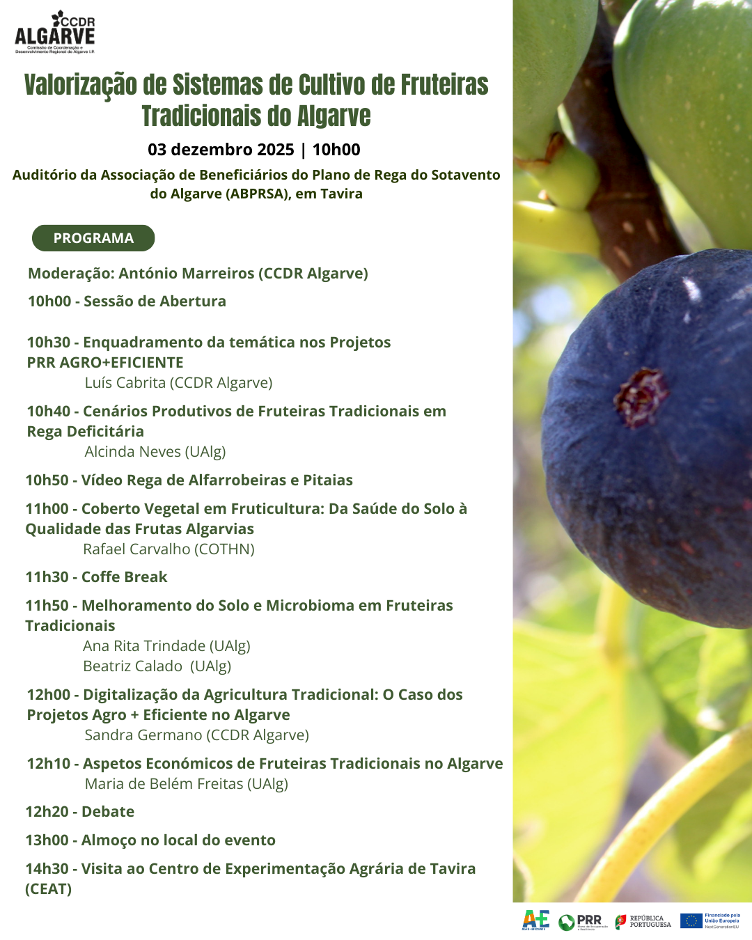 Traditional fruit trees in focus in the session promoted by CCDR Algarve in Tavira