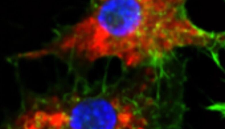 New drug is 20,000 times more effective at killing cancer (without side effects)