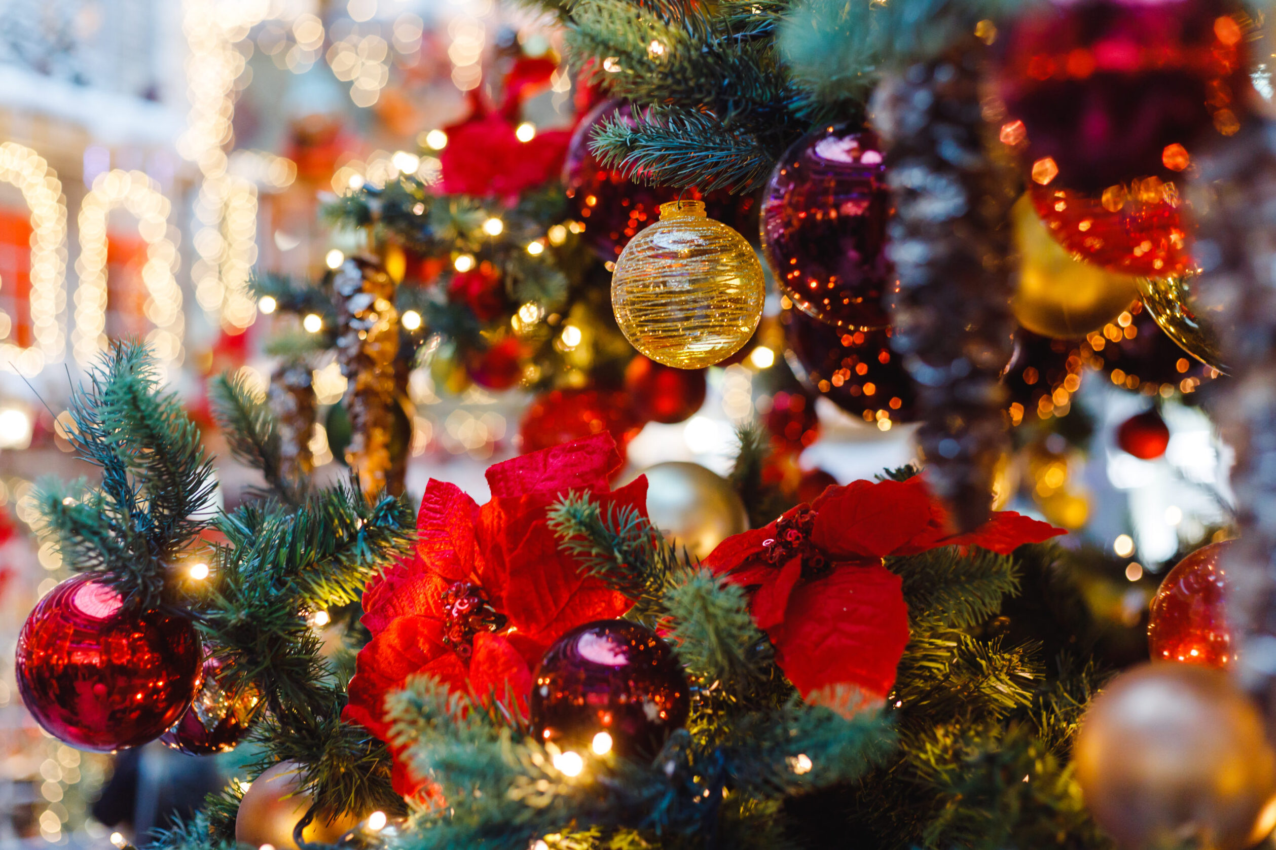 Lagos transforms into “Christmas Bay” with more than a month of activities