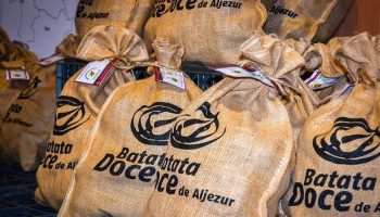 Flavors, music and tradition bring thousands together again at the Aljezur Sweet Potato Festival