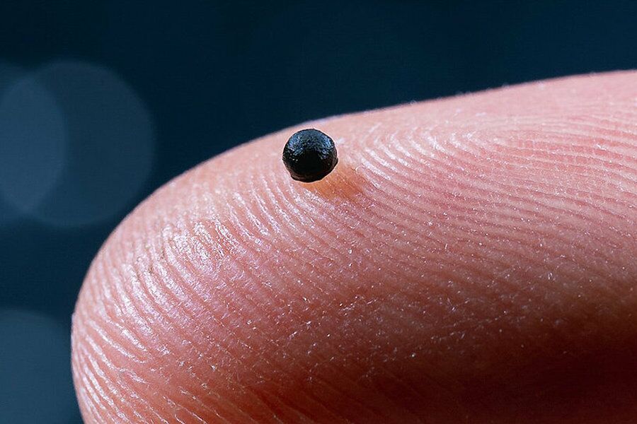 New microrobot wants to swim in your blood to treat diseases. Then he commits suicide