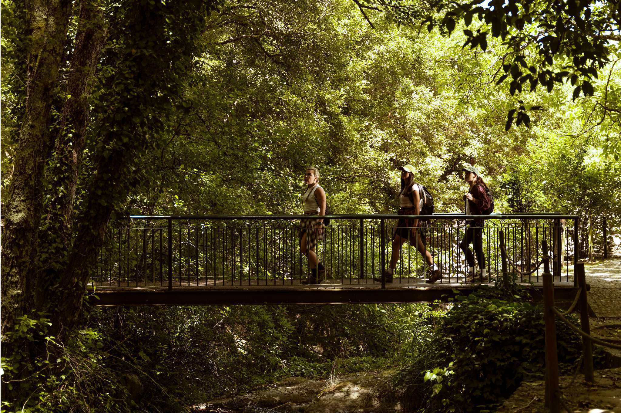 Algarve promotes itself in Spain with a focus on sustainable tourism and gastronomy